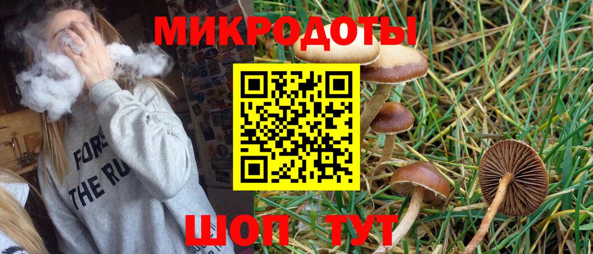 Галлюциногенные грибы Psilocybe  Вход с VPN  Галлюциногенные грибы мухоморы  Заводоуковск 