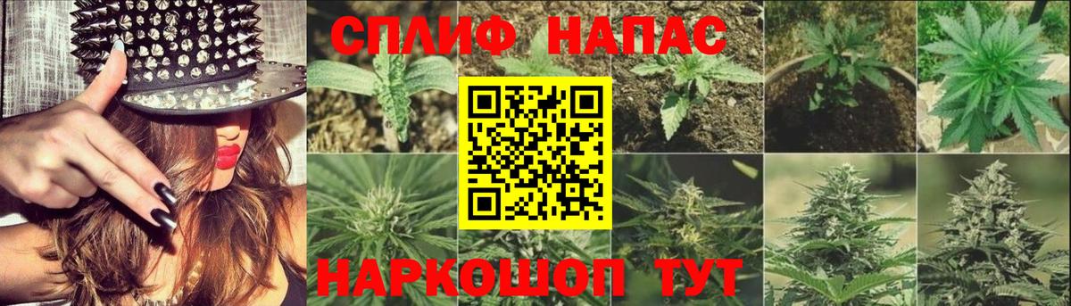 Каннабис VHQ Заводоуковск
